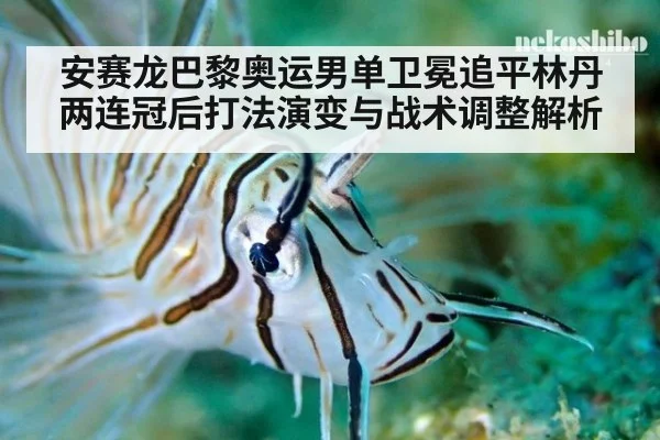 安赛龙巴黎奥运男单卫冕追平林丹两连冠后打法演变与战术调整解析